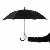 rain-umbrella-idioms
